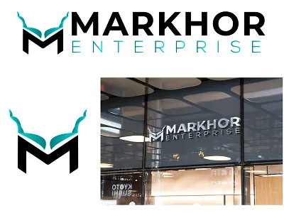 Logo Design for an Enterprise Company branding design graphic design illustration logo vector