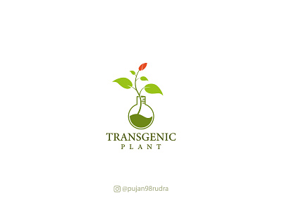 TRANSGENIC-PLANT-logo-design agri logo branding business logo creative design custom logo design farm logo graphic design illustration laboratory logo design minimalist logo modern logo plant logo professional logo transgenic logo