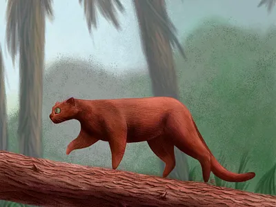 Kalimantan cat walks around the property cartoon cat cats greenery illustration kalimantan cat nature stylized tree wildlife