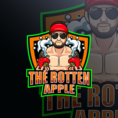 I will design stunning cartoon character and mascot logo design design icon illustration illustrator logo vector