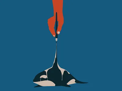 Orca (The creation series) animal art digitalart drawing illustration illustrator vector