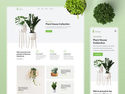 Plant Decor Shop - House plants, succulents, and more creative decor decoration design ecommerce pixbrand pixbrandme plant shopify ui ui ux ui design uidesign uiux ux wordpress