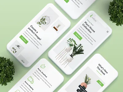 Plant Decor - mobile responsive design app creative decor decoration design pixbrand pixbrandme plant responsive ui ui ux ui design uidesign uiux ux web