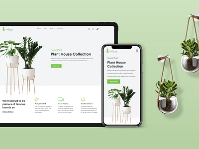 Plant house collection web & mobile view design creative decor decor app decor website decoration decoration website design ecommerce plant praveen solanki prowin studio prowinstudio shopify ui ui ux ui design uidesign uiux wordpress