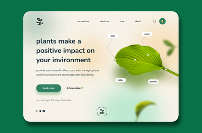 leaves🌱 3d animation branding design graphic design grean illustration leaf leaves logo motion graphics nature plant plants ui ux