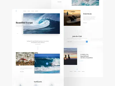 Surfing Theme 🌊 2d 3d animation branding graphic design layout logo motion graphics pixel perfect product design ui ux web