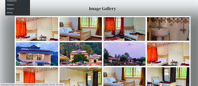 Image Gallery animation branding graphic design logo motion graphics plugins seo ui wordpress