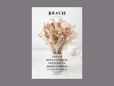 Brach Paris x Rosa Cadaqués brach paris brochure graphic design hotel indesign luxury press press release