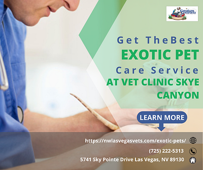 Get the Best Exotic Pet Care Service at Vet clinic Skye Canyon vet clinic skye canyon