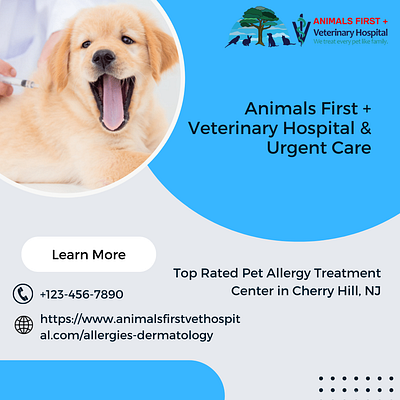 Top Rated Pet Allergy Treatment Center in Cherry Hill, NJ nj