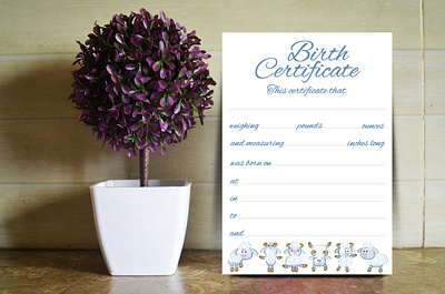 Birth Certificate birth certificate design flyer gift graphic design light blue