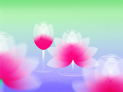 Water LIly bloom blossom floret flower pond flower water