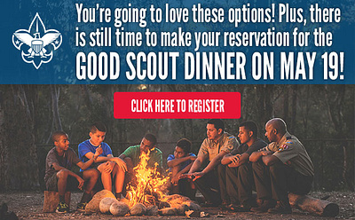 Boy Scouts of America Freelance design website