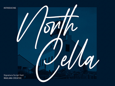 North Cella Signature Script Font display font fonts handmade lettering logo maulana craetive modern signature typeface