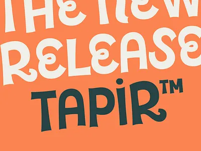 Tapir – Typeface display type font fonts fun hvd illustration packaging typedesign typeface typography