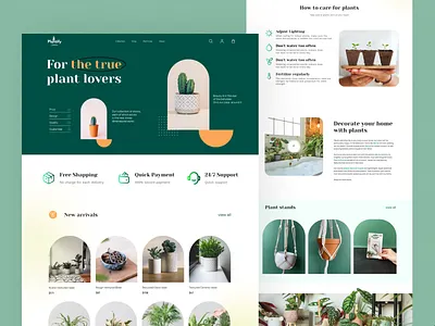 Plant Shop Landing Page design typography ui ux