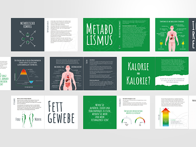 Osteopathy Booklet - Metabolism book booklet course cube cube agency custom editorial health illustration learning metabolism osteo osteopathy print publishing serie square typography