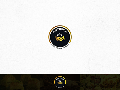 Bosphorus logo Design 3d animation bosphorus bosphorus logo bosphorus logo design brand identity branding creative logo design graphic design logo logo design logo ideas logodesign ramjanhossain rh symbolic logo text logo ui wordmark wordmark logo