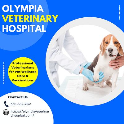 Get Professional Veterinarians for Pet Wellness Care veterinary clinic olympia wa