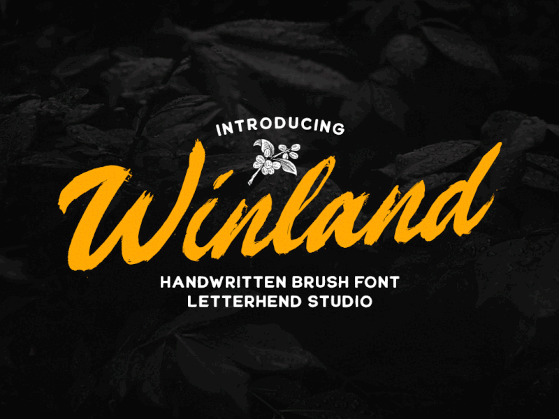 Winland - Brush Font freebies textured font