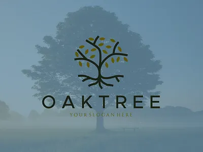 oak tree logo presentation art design illustration line logo oak template tree vector
