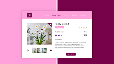 Daily UI Challenge (Day 12 - Single Product) design ui