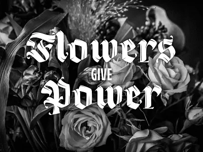 Flowers Give Power brush calligraphy design font fraktur lekick lettering resistenza script tipografia type typedesign typography