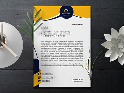 Corporate Letterhead Design banner branding brochure company corporate creative creative format cv design design inspiration flyer letterhead letterhead design logo minimal minimalistic resume stationary design template typography