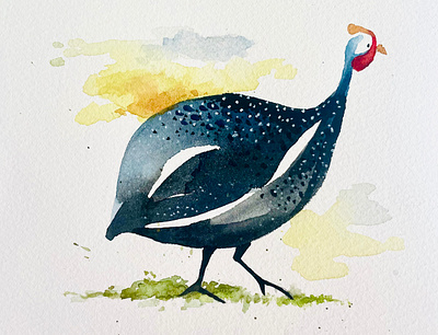 guineafowl bird guinea guineafowl guineahen watercolor