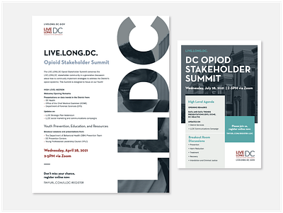 Live.Long.DC Summit Collateral design graphic design social media