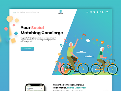 BRIDGE - Website UI design animation branding design figma illustration illustrator top ux ui designer ui designer ux vector