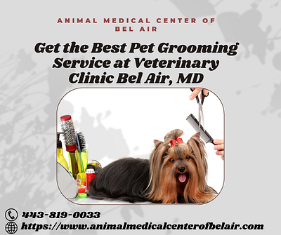 Get Best Pet Grooming Service at Veterinary Clinic Bel Air, MD vet clinic bel air md