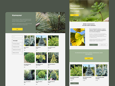 Plants shop web page redesign cleanui customerjourney ecommerce marketplace onlineshopping ui uidesign uiux ux webpage webredesign webshop