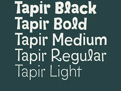 Tapir – Weights design font fontdesign fonts hvd hvdfonts typedesign typeface typography