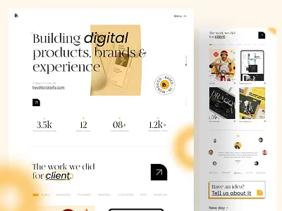 Bridgyfy adobexd agency logo ui ux web