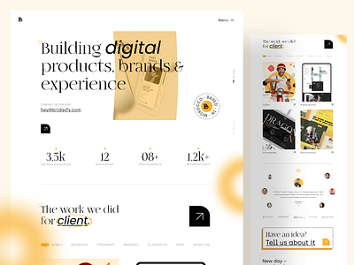 Bridgyfy adobexd agency logo ui ux web