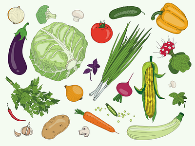 vegetables basil cabbage chilli clipart corn garden graphic design greens herbs illustration mushrooms onion organic paprika plants tomato vector graphic vegetables veggie