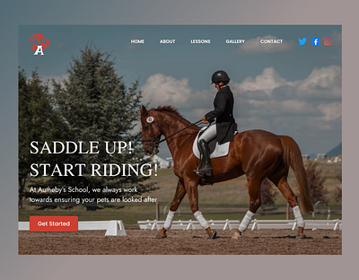 Business Website business business website design graphic design horse illustration training ui ux website