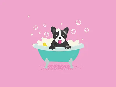 DOG Illustration bath dog dogsalon graphic design groomer illustration vector