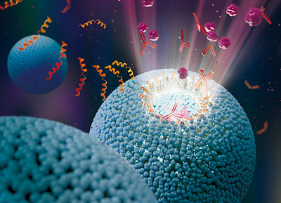 Cover art - peptide help liposome releasing cargo biology cover art graphic design illustration science scientific illustration