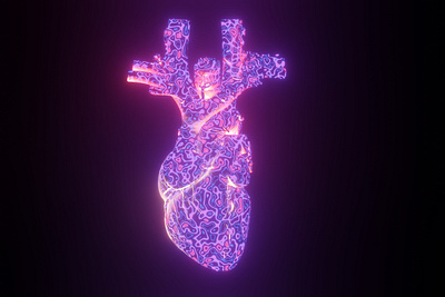 The Heart anatomy biology cover art design generative art graphic design heart illustration science scientific illustration