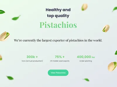 Shamsolhodaei Landing Page design graphic design landing page ui web design