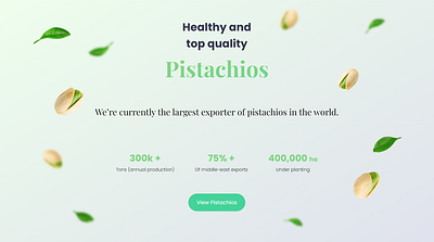 Shamsolhodaei Landing Page design graphic design landing page ui web design