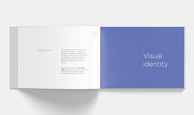 Visual Identity & Brand Guideline brand guideline branding design graphic design minimal typography