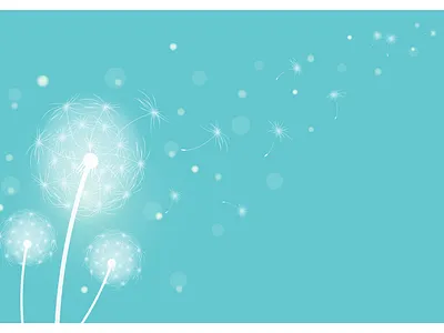 Fluffy dandelions banner boho design illustration vector