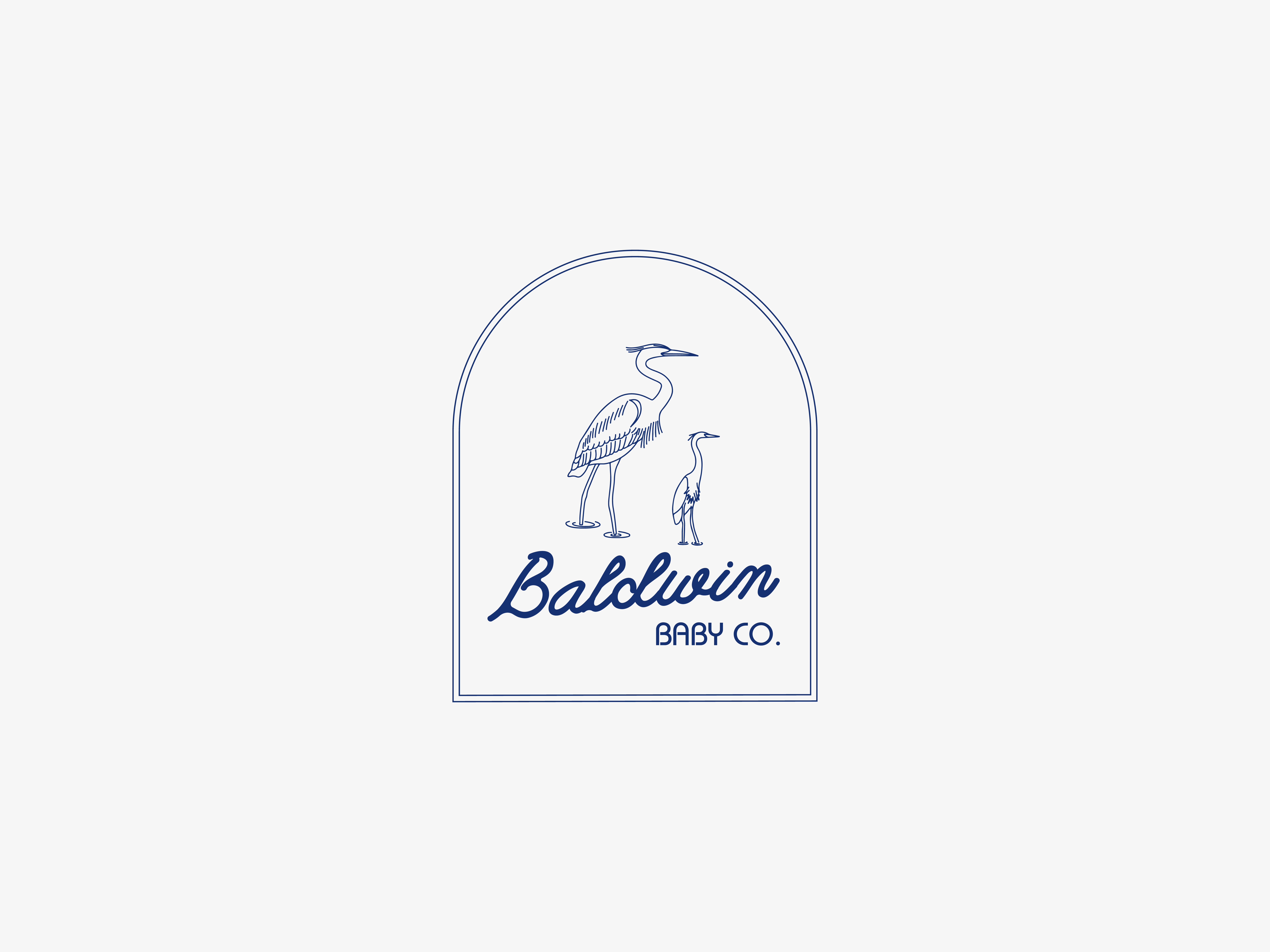 Baldwin Baby Co. Logo 2025 logo aesthetic design brand brand logo branding business branding business logo company branding company logo graphic designer handdrawn style illustration logo logo design ui vector
