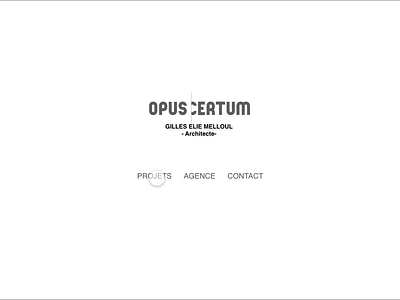 Opus Certum - Webiste Ux / Ui graphic design prodcutdesign product scrolling slideshow ui ux wireframe