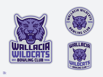 Wildcats_logo concepts_BRD_10-18-22 branding design illustrator logo vector