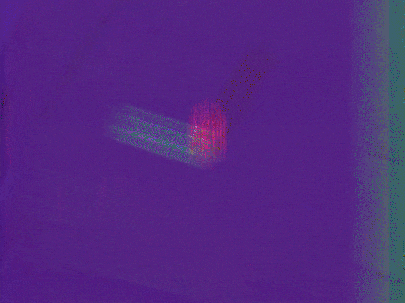 If it aint that trap its a wrap Animaiton! animated logo branding design flyer design flyers illustration logo social media design