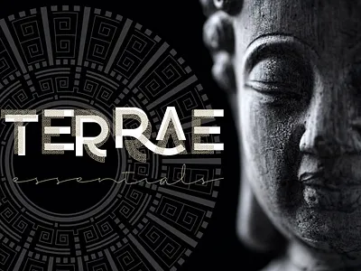 TERRAE branding design graphic design logo typography